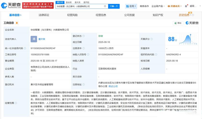 注册资本1亿人民币的大数据企业 经营范围解析与合规经营指南